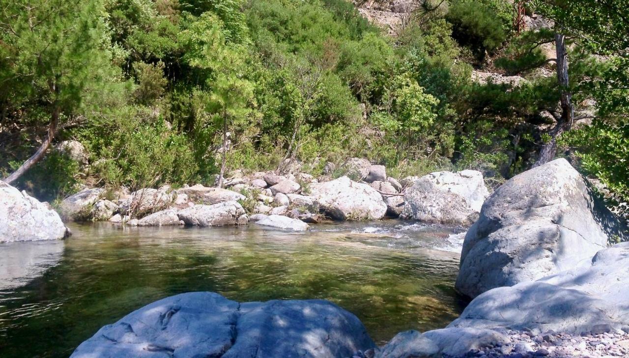 Pietranera Studio Proche De La Mer A 2Km De Bastia Ville-di-Pietrabugno Екстер'єр фото